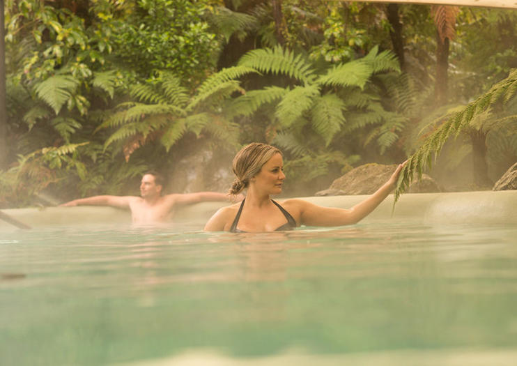 Franz Josef Glacier Hot Pools